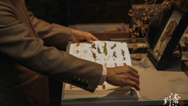 奢野之间·探寻“间度”智慧｜欧大师门窗「奢野间度」设计主题沙龙圆满收官